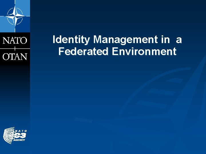 Identity Management in a Federated Environment 