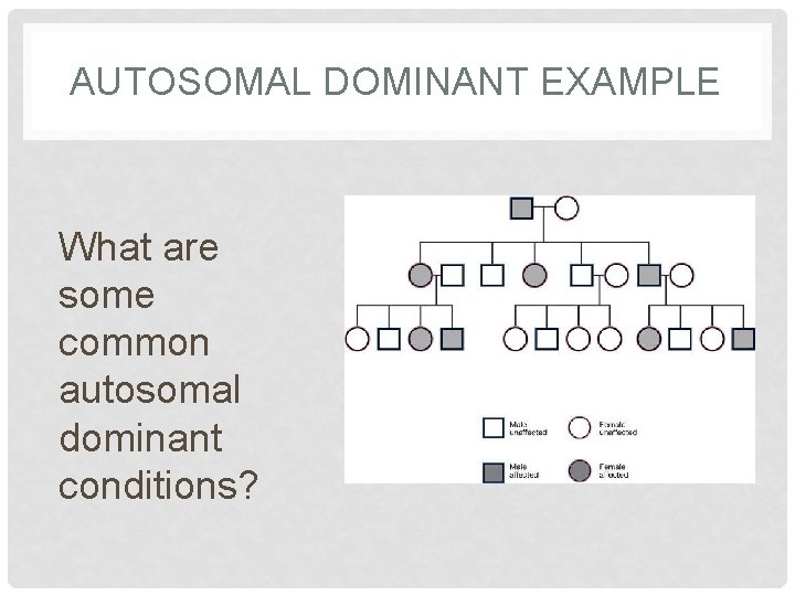 AUTOSOMAL DOMINANT EXAMPLE What are some common autosomal dominant conditions? 