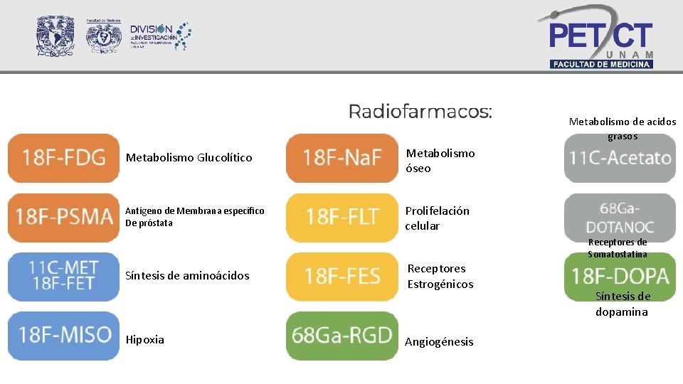 Metabolismo de acidos grasos Metabolismo Glucolítico Metabolismo óseo Antígeno de Membrana específico De próstata