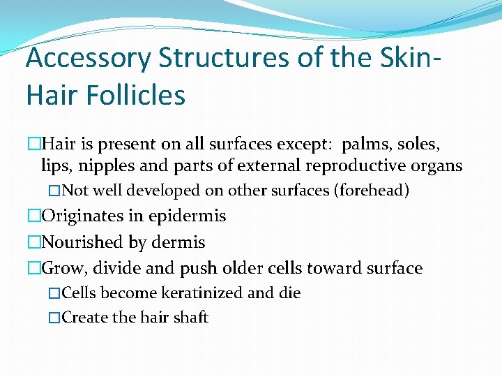 Accessory Structures of the Skin. Hair Follicles �Hair is present on all surfaces except: