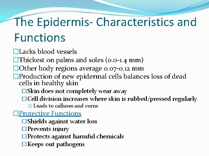 The Epidermis- Characteristics and Functions �Lacks blood vessels �Thickest on palms and soles (0.