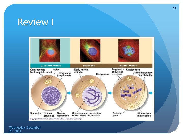 14 Review I Wednesday, December 22, 2021 