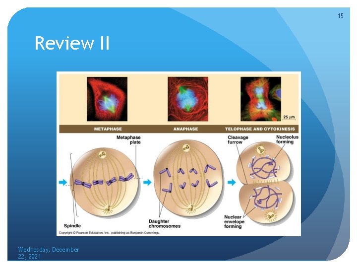 15 Review II Wednesday, December 22, 2021 