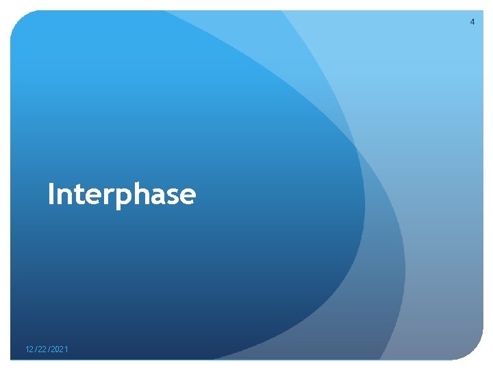 4 Interphase 12/22/2021 