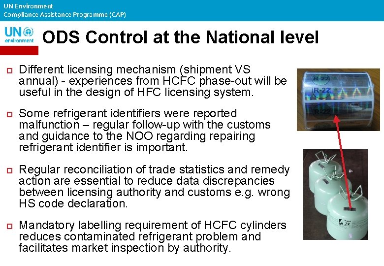 UN Environment Compliance Assistance Programme (CAP) ODS Control at the National level Different licensing