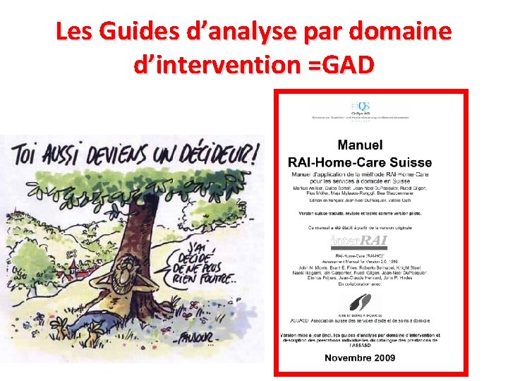 Les Guides d’analyse par domaine d’intervention =GAD 
