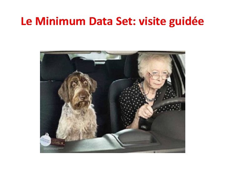 Le Minimum Data Set: visite guidée 