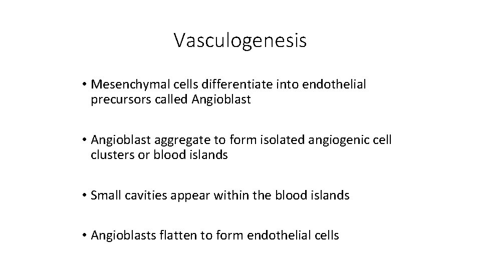 Vasculogenesis • Mesenchymal cells differentiate into endothelial precursors called Angioblast • Angioblast aggregate to