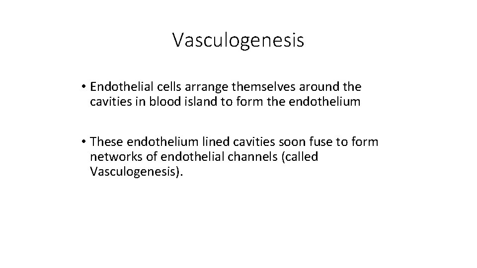 Vasculogenesis • Endothelial cells arrange themselves around the cavities in blood island to form