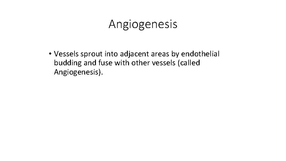 Angiogenesis • Vessels sprout into adjacent areas by endothelial budding and fuse with other