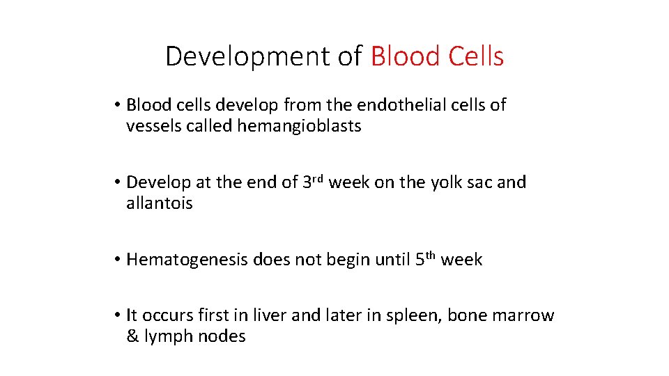 Development of Blood Cells • Blood cells develop from the endothelial cells of vessels