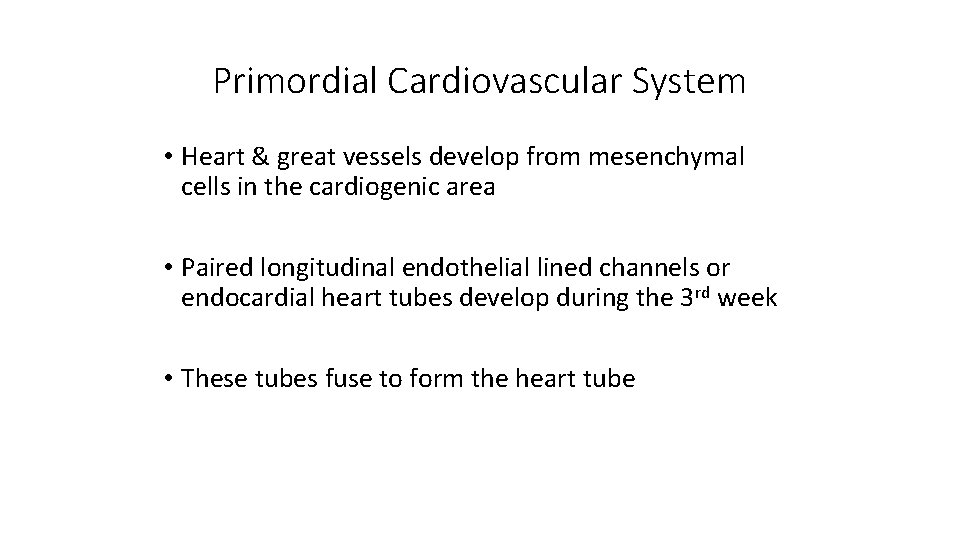 Primordial Cardiovascular System • Heart & great vessels develop from mesenchymal cells in the