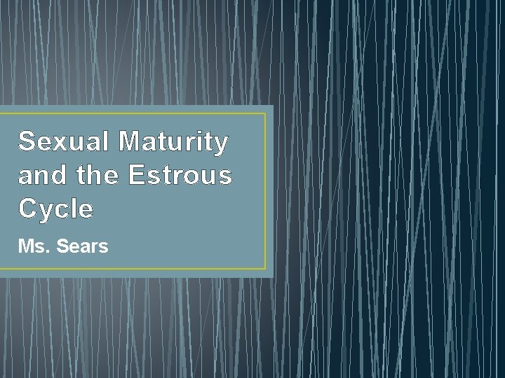 Sexual Maturity and the Estrous Cycle Ms. Sears 