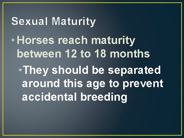 Sexual Maturity • Horses reach maturity between 12 to 18 months • They should