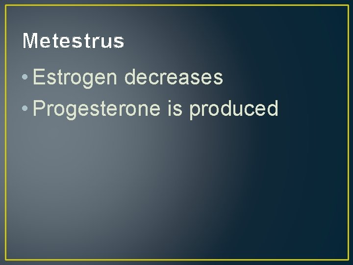Metestrus • Estrogen decreases • Progesterone is produced 