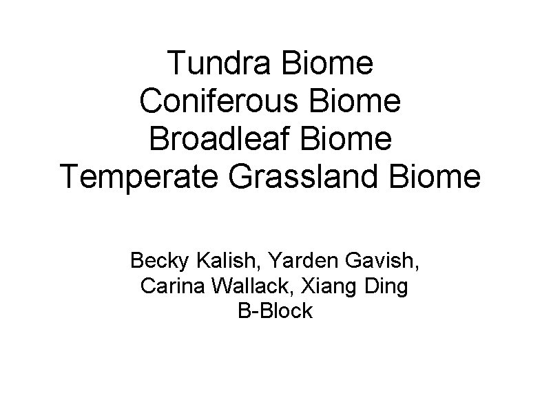 Tundra Biome Coniferous Biome Broadleaf Biome Temperate Grassland Biome Becky Kalish, Yarden Gavish, Carina