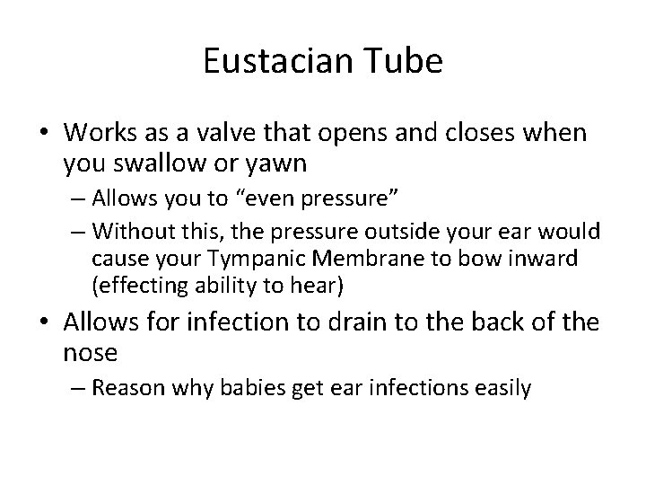Eustacian Tube • Works as a valve that opens and closes when you swallow