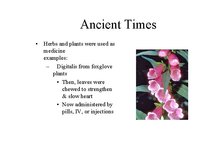 Ancient Times • Herbs and plants were used as medicine examples: – Digitalis from