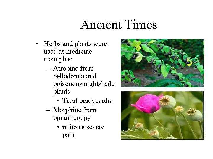 Ancient Times • Herbs and plants were used as medicine examples: – Atropine from