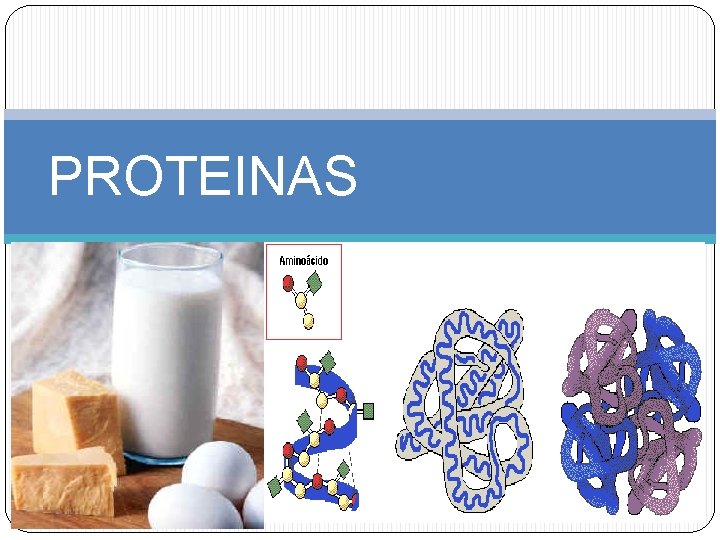 PROTEINAS 