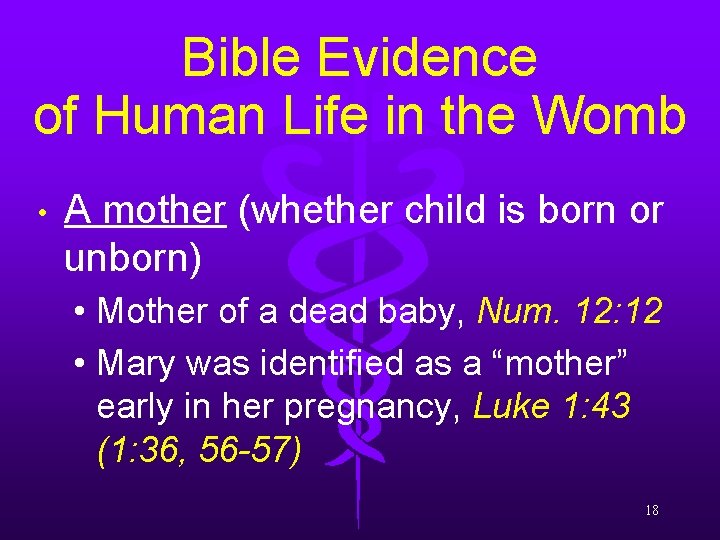 Bible Evidence of Human Life in the Womb • A mother (whether child is