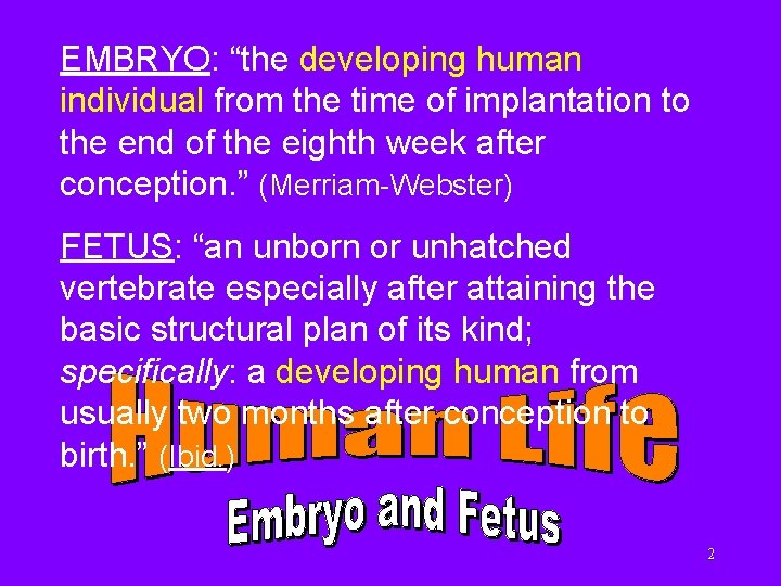 EMBRYO: “the developing human individual from the time of implantation to the end of