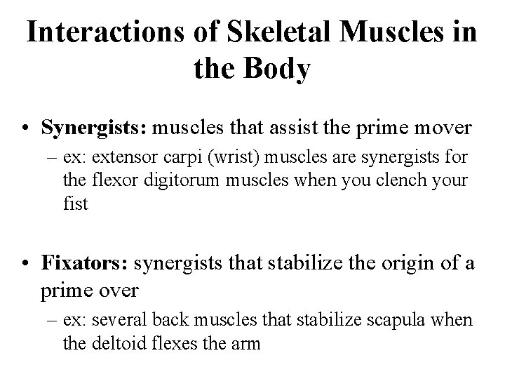 Interactions of Skeletal Muscles in the Body • Synergists: muscles that assist the prime