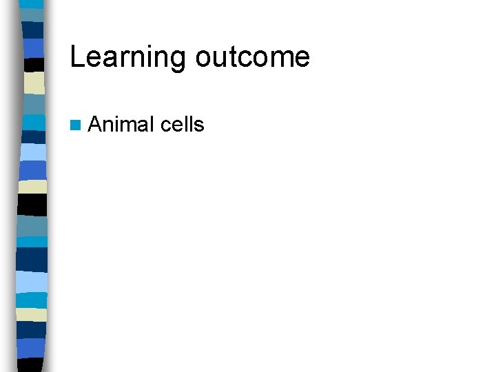 Learning outcome n Animal cells 