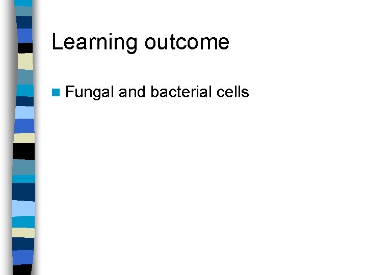 Learning outcome n Fungal and bacterial cells 