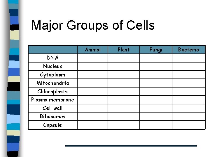 Major Groups of Cells Animal DNA Nucleus Cytoplasm Mitochondria Chloroplasts Plasma membrane Cell wall