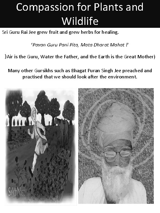 Compassion for Plants and Wildlife Sri Guru Rai Jee grew fruit and grew herbs