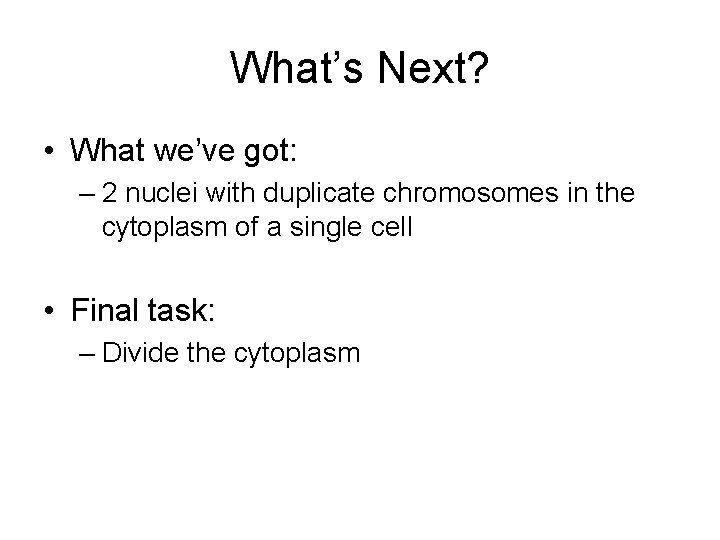 What’s Next? • What we’ve got: – 2 nuclei with duplicate chromosomes in the