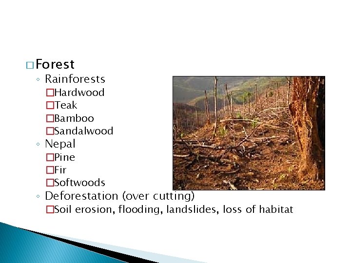 � Forest ◦ Rainforests �Hardwood �Teak �Bamboo �Sandalwood ◦ Nepal �Pine �Fir �Softwoods ◦