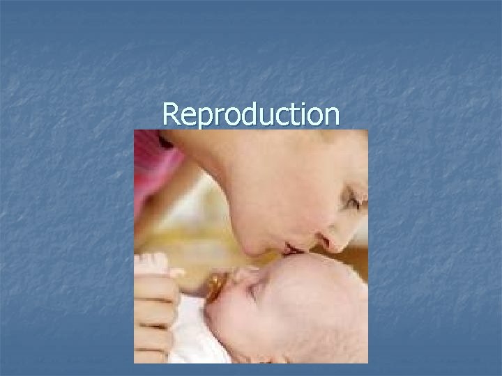 Reproduction 