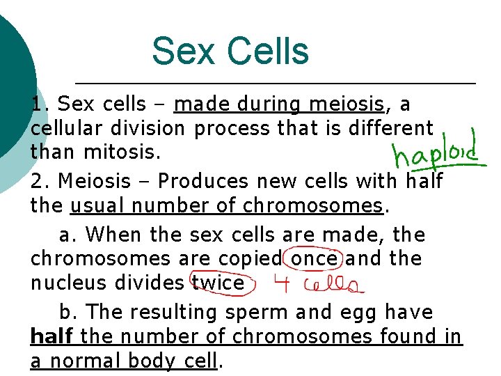 Sex Cells 1. Sex cells – made during meiosis, a cellular division process that