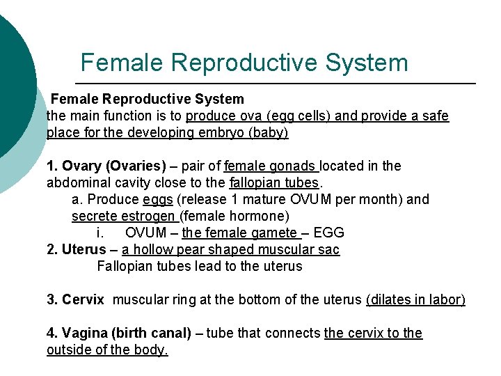 Female Reproductive System the main function is to produce ova (egg cells) and provide