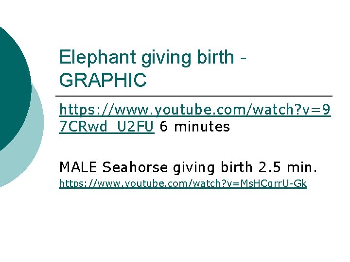 Elephant giving birth GRAPHIC https: //www. youtube. com/watch? v=9 7 CRwd_U 2 FU 6