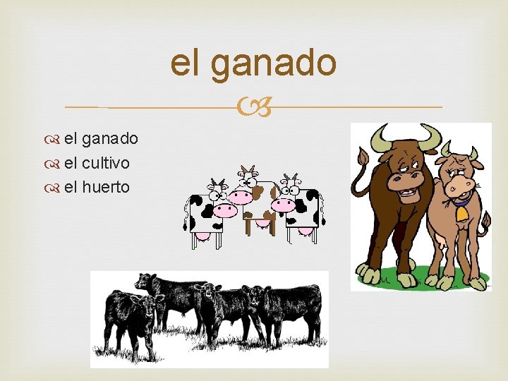el ganado el cultivo el huerto 