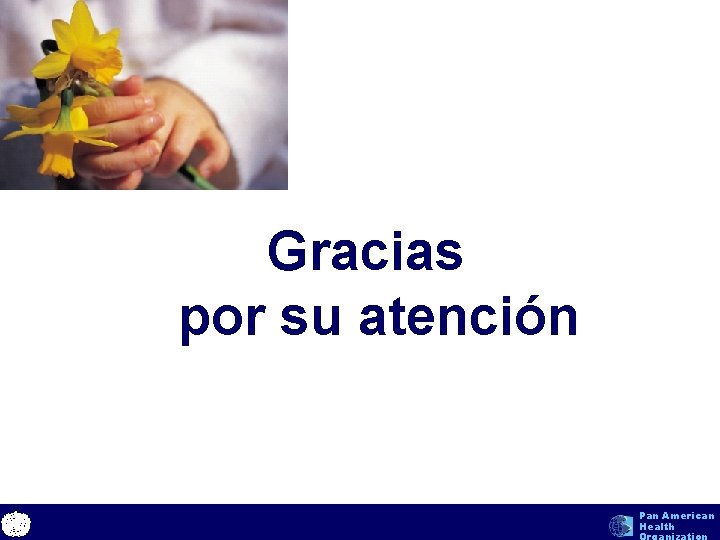 Gracias por su atención text Pan American Health Organization 