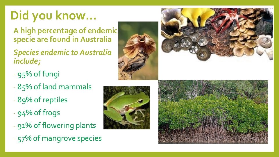 Did you know… A high percentage of endemic specie are found in Australia Species
