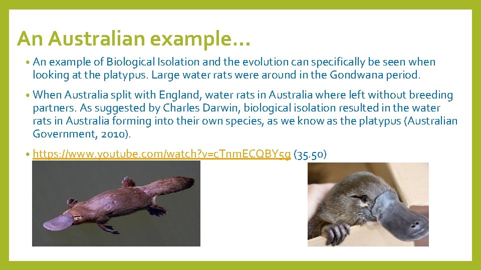 An Australian example… • An example of Biological Isolation and the evolution can specifically