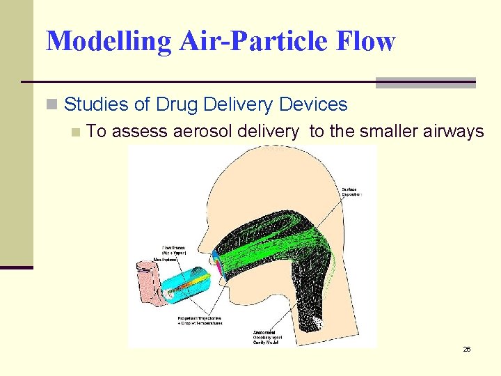 Modelling Air-Particle Flow n Studies of Drug Delivery Devices n To assess aerosol delivery