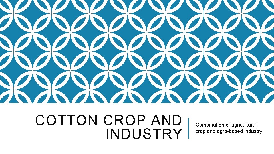 COTTON CROP AND INDUSTRY Combination of agricultural crop and agro-based industry 