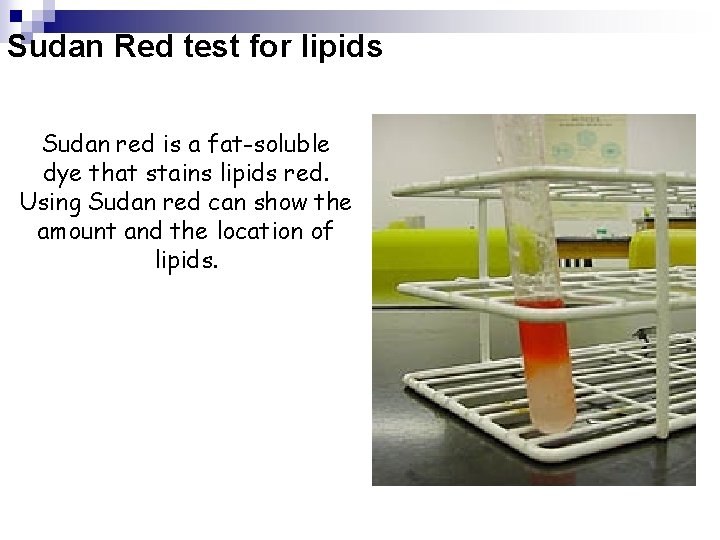 Sudan Red test for lipids Sudan red is a fat-soluble dye that stains lipids Sudan Red test for lipids Sudan red is a fat-soluble dye that stains lipids