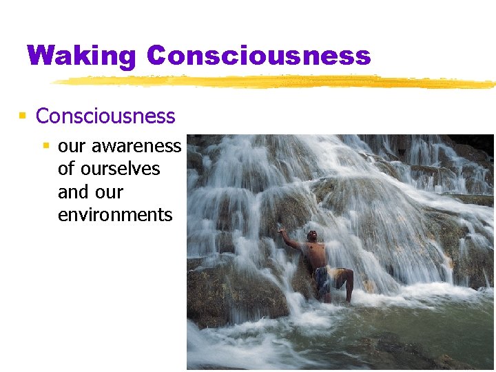 Waking Consciousness § our awareness of ourselves and our environments 