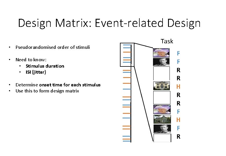 Design Matrix: Event-related Design • Pseudorandomised order of stimuli • Need to know: •