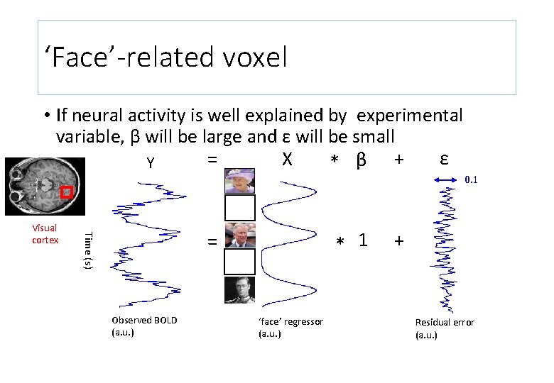 ‘Face’-related voxel • If neural activity is well explained by experimental variable, β will