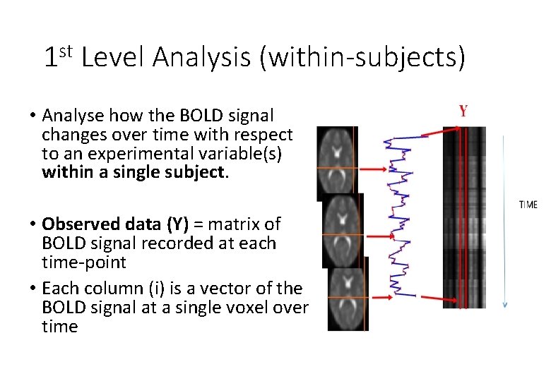 1 st Level Analysis (within-subjects) • Analyse how the BOLD signal changes over time