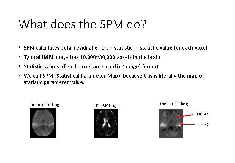 What does the SPM do? • SPM calculates beta, residual error, T-statistic, F-statistic value