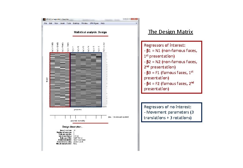 The Design Matrix Regressors of interest: - β 1 = N 1 (non-famous faces,